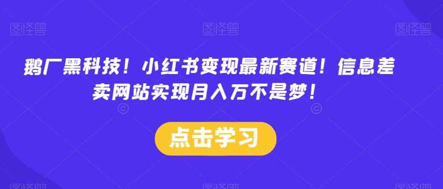 鹅厂黑科技！小红书变现最新赛道！信息差卖网站实现月入万不是梦！-皮皮网创