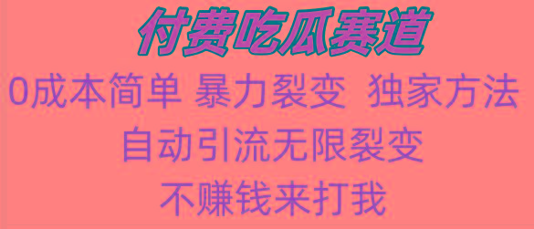 吃瓜付费赛道，暴力无限裂变，0成本，实测日入700+！！！-皮皮网创
