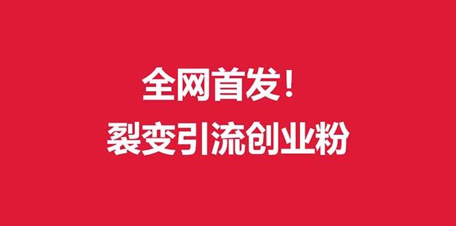 (全网首发)外面收费几千的裂变引流高质量创业粉-皮皮网创