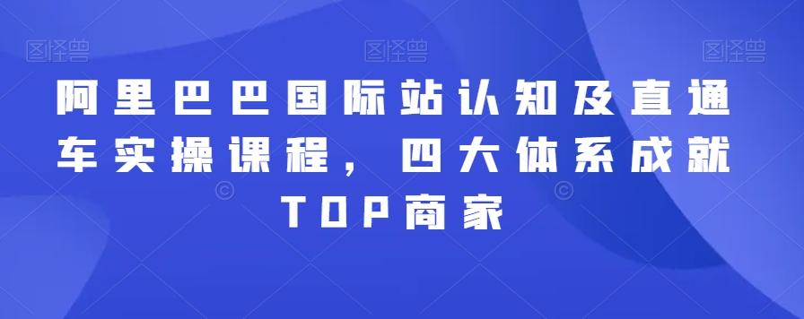 阿里巴巴国际站认知及直通车实操课程，四大体系成就TOP商家-皮皮网创