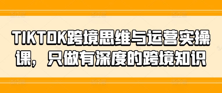 TIKTOK跨境思维与运营实操课，只做有深度的跨境知识-皮皮网创
