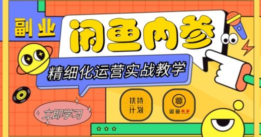 闲鱼精细化运营入门+高阶实战教学，从底层逻辑到轻松变现，多维度玩转闲鱼副业-皮皮网创