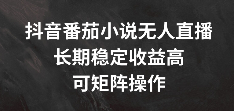 抖音番茄小说无人直播，长期稳定收益高，可矩阵操作【揭秘】-皮皮网创