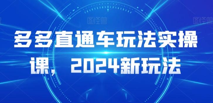 多多直通车玩法实操课，2024新玩法-皮皮网创