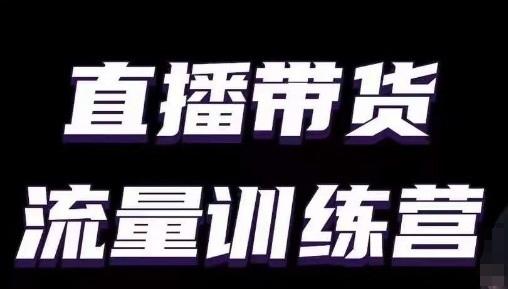 直播带货流量训练营，小白主播必学直播课-皮皮网创