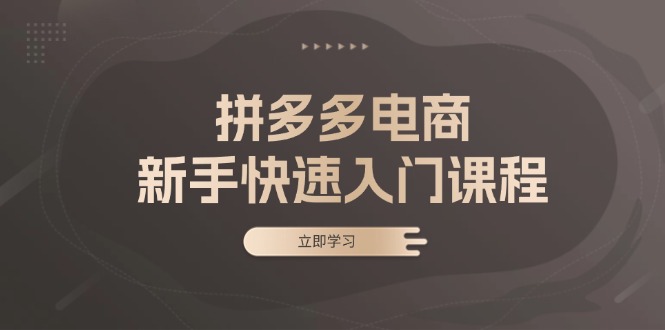 拼多多电商新手快速入门课程：涵盖基础、实战与选款，助力小白轻松上手-皮皮网创