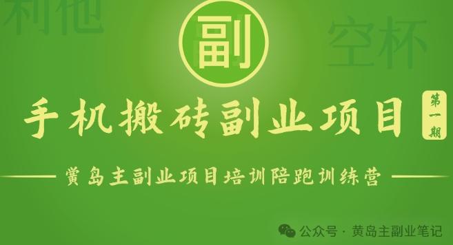 手机搬砖小副业项目训练营1.0，实测1小时收益50+，一部手机轻松日入100+-皮皮网创