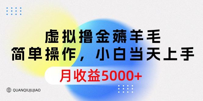 (9864期)虚拟撸金薅羊毛，简单操作，小白当天上手，月收益5000+-皮皮网创