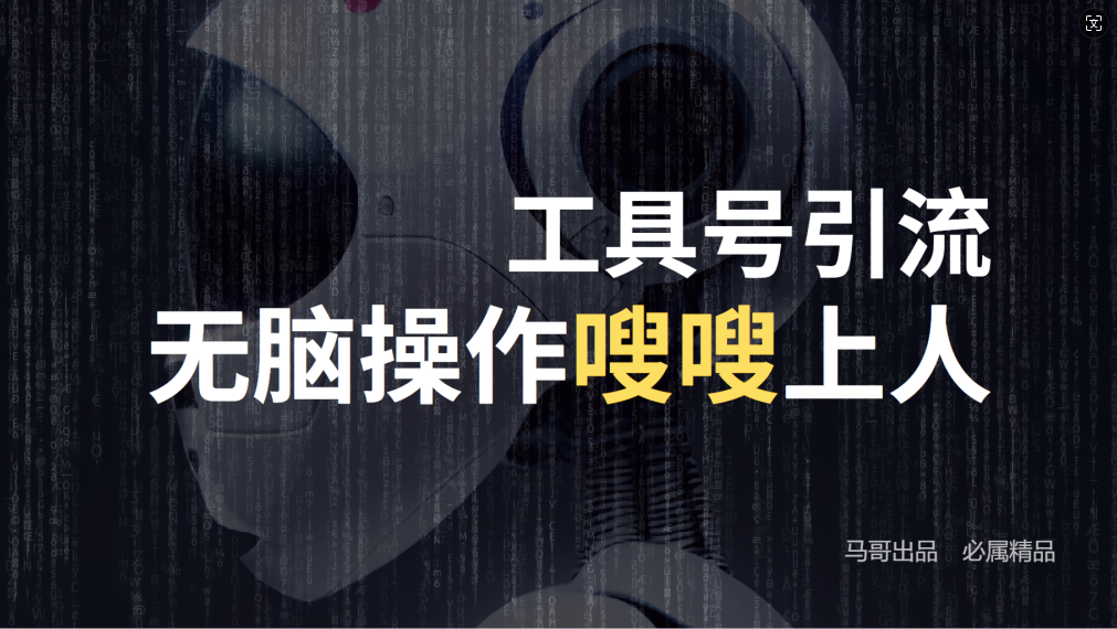 24年抖音最新工具号日引流300+创业粉，日入5000+-皮皮网创