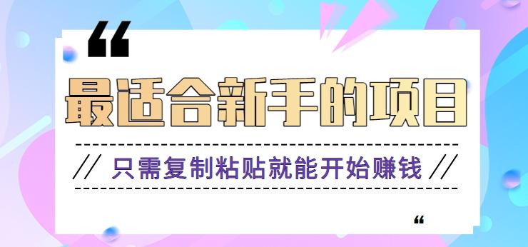 2024最适合新手操作的项目，新手小白只需复制粘贴就能开始赚钱【视频教程+软件】-皮皮网创