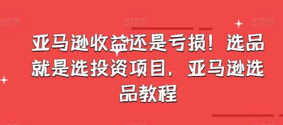 亚马逊收益还是亏损！选品就是选投资项目，亚马逊选品教程-皮皮网创