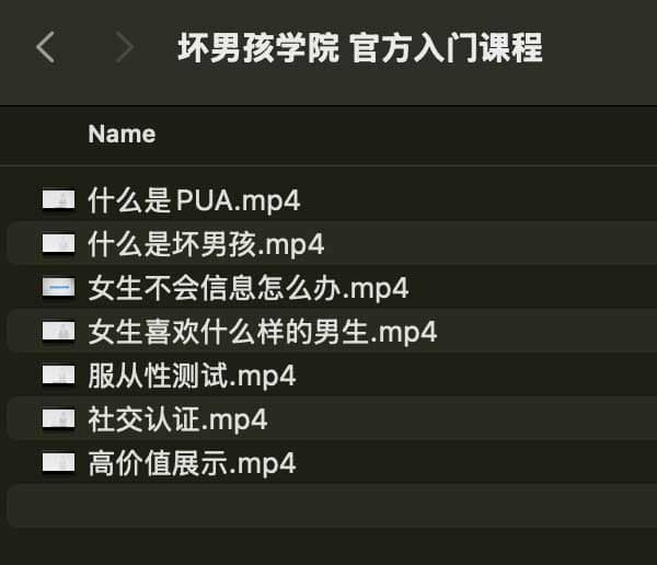 坏男孩学院 官方入门课程-皮皮网创