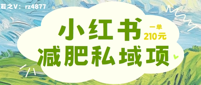 小红书减肥粉，私域变现项目，一单就达210元，小白也能轻松上手【揭秘】-皮皮网创