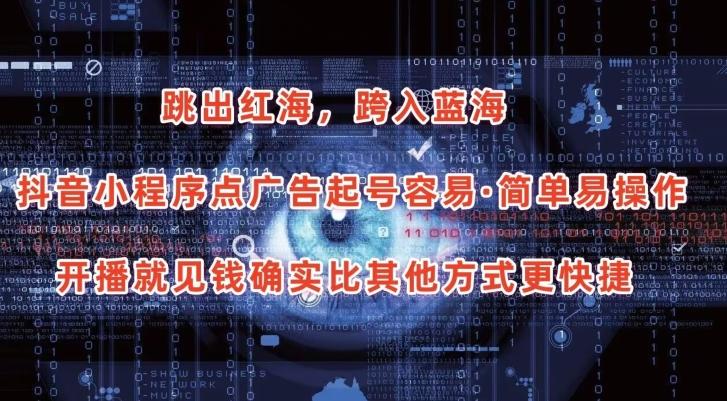 抖音小程序点广告项目，起号容易，简单易操作，开播就见有收益【揭秘】-皮皮网创