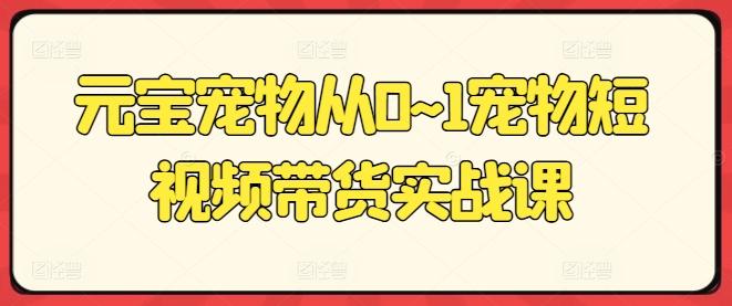 元宝宠物从0~1宠物短视频带货实战课-皮皮网创