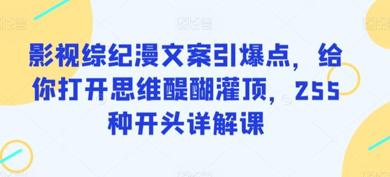 影视综纪漫文案引爆点，给你打开思维醍醐灌顶，255种开头详解课-皮皮网创