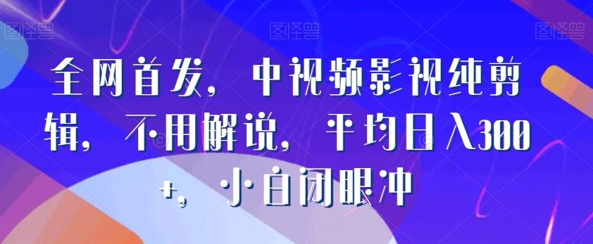 全网首发，中视频影视纯剪辑，不用解说，平均日入300+，小白闭眼冲-皮皮网创