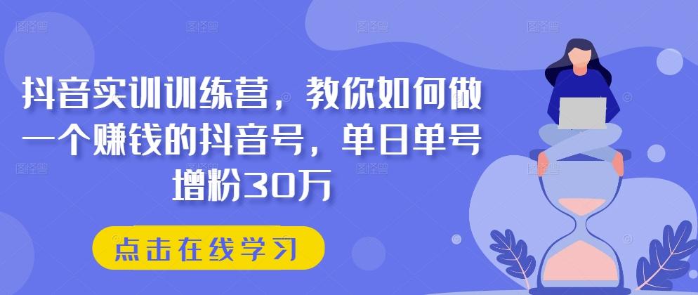 抖音实训训练营，教你如何做一个赚钱的抖音号，单日单号增粉30万-皮皮网创