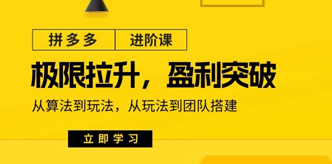 拼多多·进阶课：极限拉升/盈利突破：从算法到玩法 从玩法到团队搭建-18节-皮皮网创