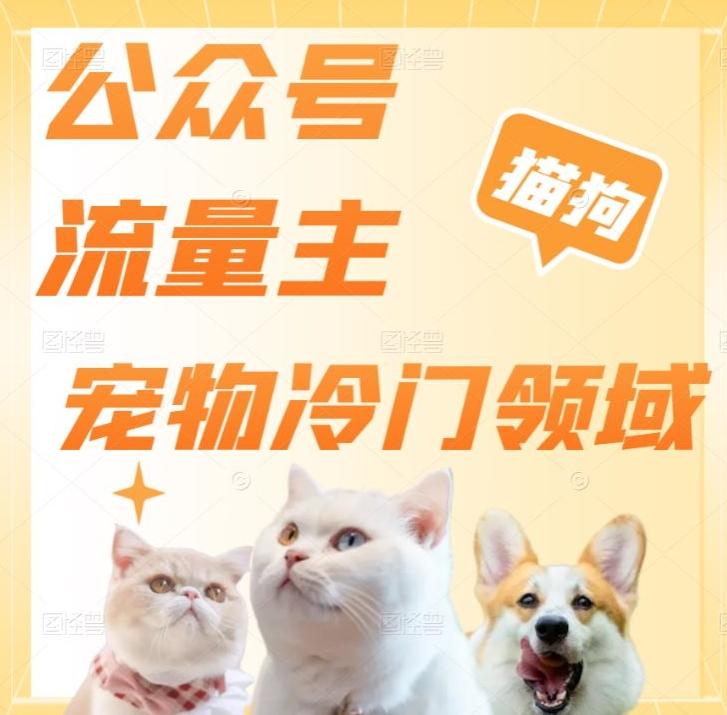 公众号流量主，萌宠冷门领域，单日收益2000+，简单暴力掘金，矩阵操作，无限放大收益！-皮皮网创