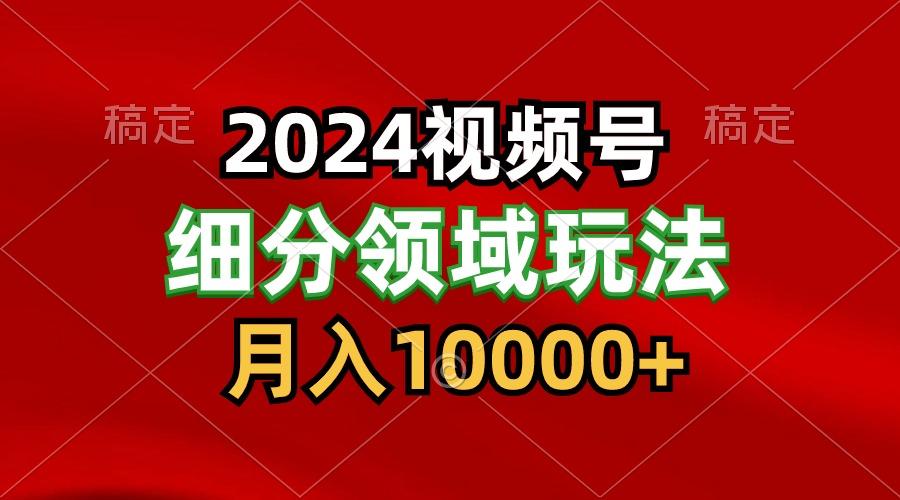 2024视频号分成计划细分领域玩法，每天5分钟，月入1W+-皮皮网创