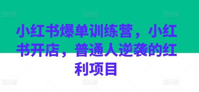 小红书爆单训练营，小红书开店，普通人逆袭的红利项目-皮皮网创