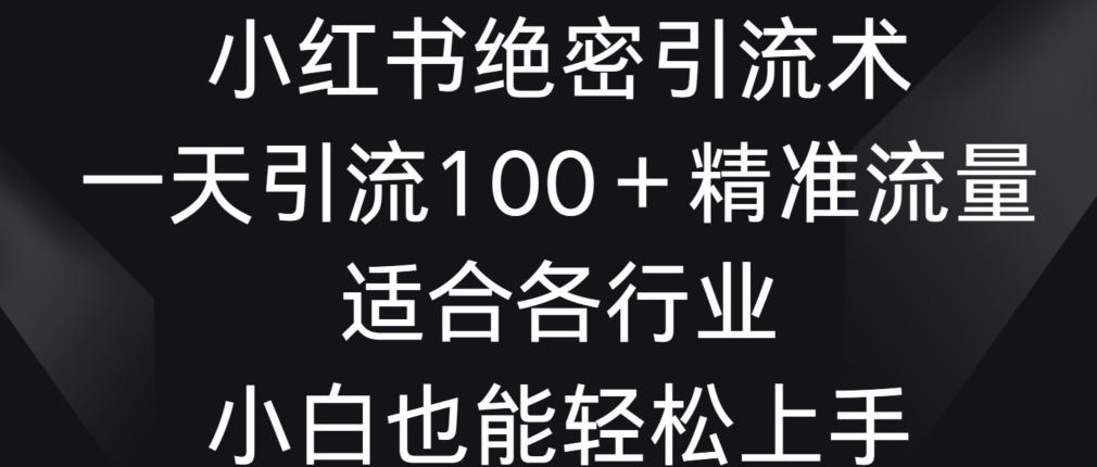 小红书绝密引流术，一天引流100+精准流量，适合各个行业，小白也能轻松上手【揭秘】-皮皮网创