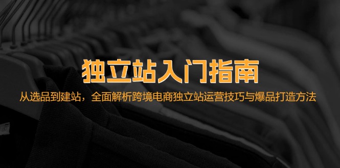 独立站入门指南：从选品到建站，全面解析跨境电商独立站运营技巧与爆品…-皮皮网创