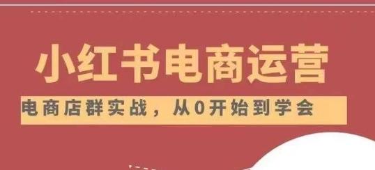 小红书店铺运营从小白到大神2.0，从入门到精通-皮皮网创
