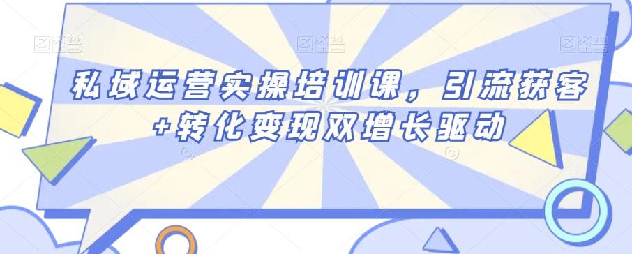 私域运营实操培训课，引流获客+转化变现双增长驱动-皮皮网创