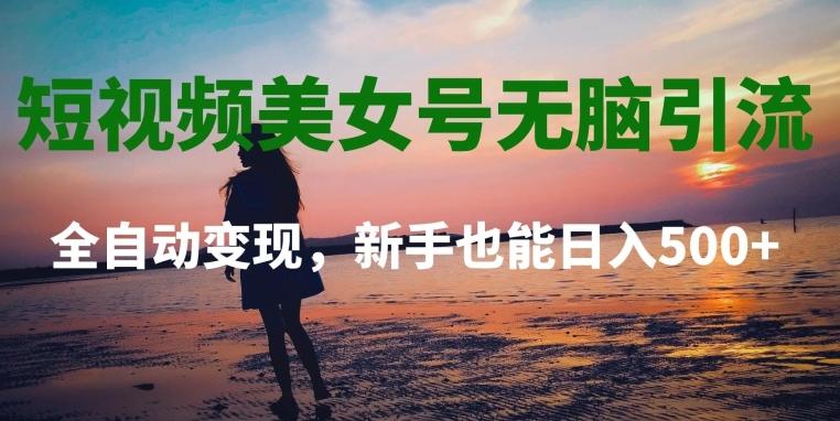 短视频美女号无脑引流，全自动变现，新手也能日入500+-皮皮网创