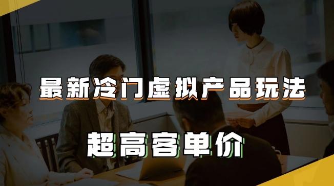 最新冷门虚拟产品玩法，超高客单价，月入2-3万＋【揭秘】-皮皮网创