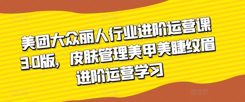 美团大众丽人行业进阶运营课3.0版，皮肤管理美甲美睫纹眉进阶运营学习-皮皮网创