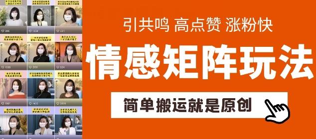 简单搬运，情感矩阵玩法，涨粉速度快，可带货，可起号【揭秘】-皮皮网创