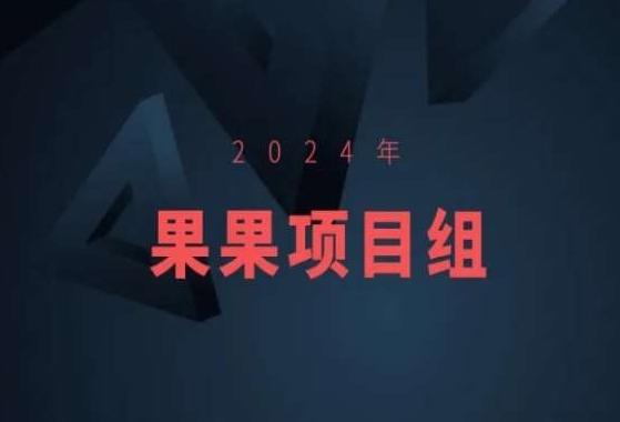 2024年果果项目组项目合集-果果最新项目-皮皮网创