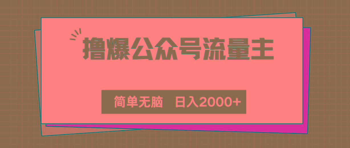 撸爆公众号流量主，简单无脑，单日变现2000+-皮皮网创