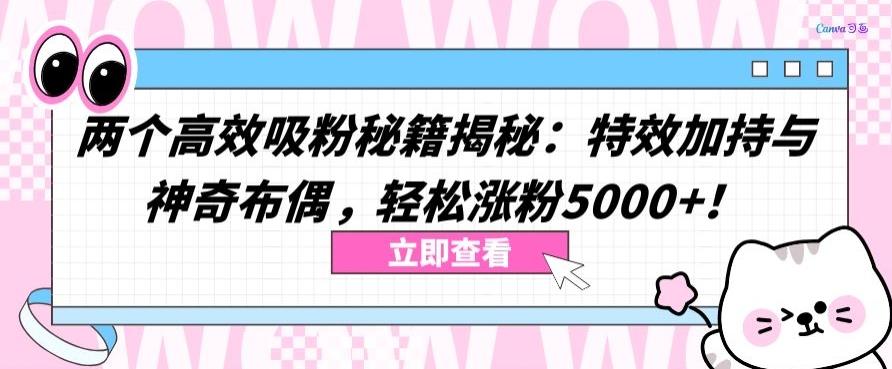 两个高效吸粉秘籍揭秘：特效加持与神奇布偶，轻松涨粉5000+【揭秘】-皮皮网创