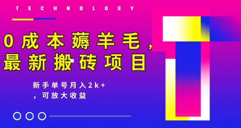 0成本薅羊毛，最新搬砖项目，新手单号月入2k+，可放大操作-皮皮网创