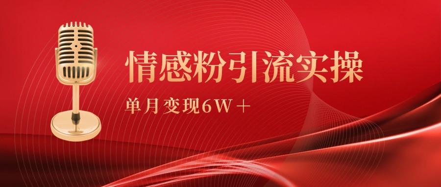 (9473期)单月变现6w+，情感粉引流变现实操课-皮皮网创