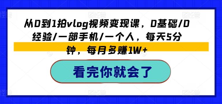 从0到1拍vlog视频变现课，0基础/0经验/一部手机/一个人，每天5分钟，每月多赚1W+-皮皮网创