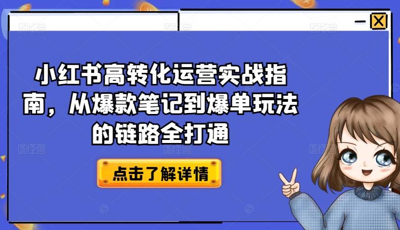 小红书高转化运营实战指南，从爆款笔记到爆单玩法的链路全打通-皮皮网创