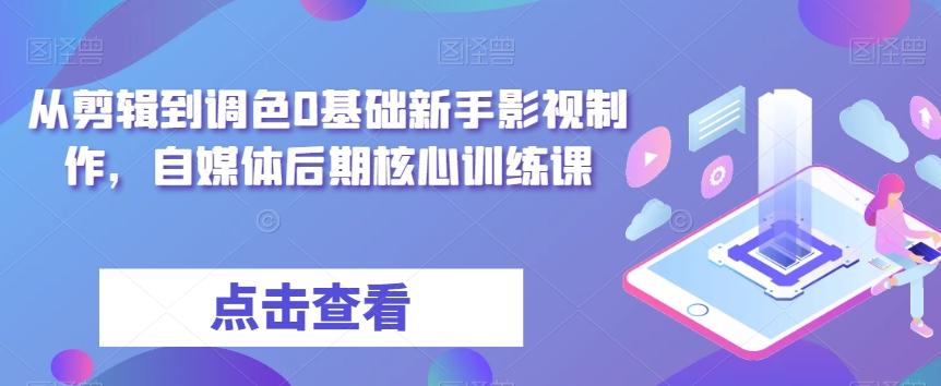 从剪辑到调色0基础新手影视制作，自媒体后期核心训练课-皮皮网创