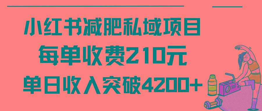 (9466期)小红书减肥私域项目每单收费210元单日成交20单，最高日入4200+-皮皮网创