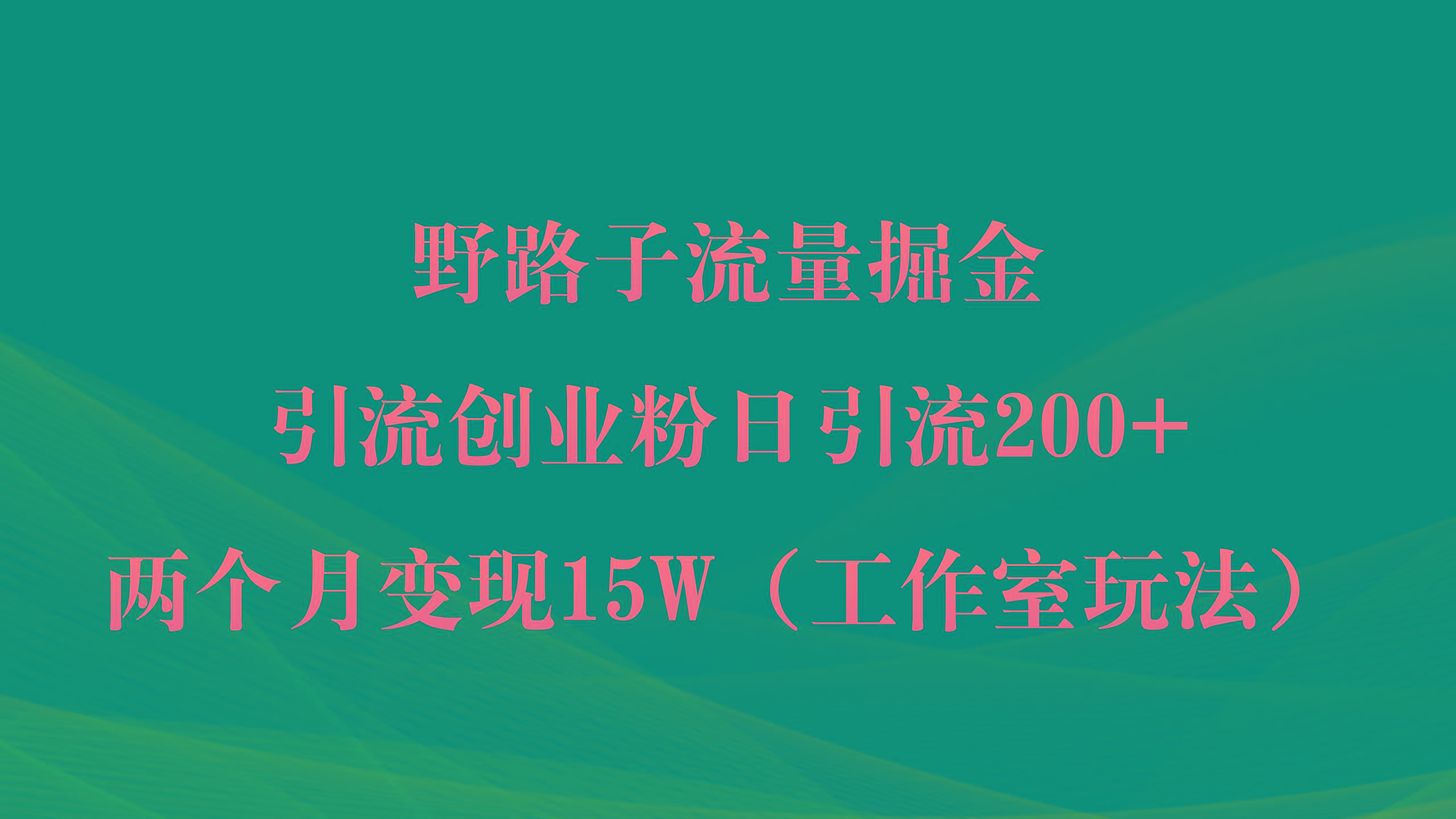 (9513期)野路子流量掘金，引流创业粉日引流200+，两个月变现15W(工作室玩法))-皮皮网创