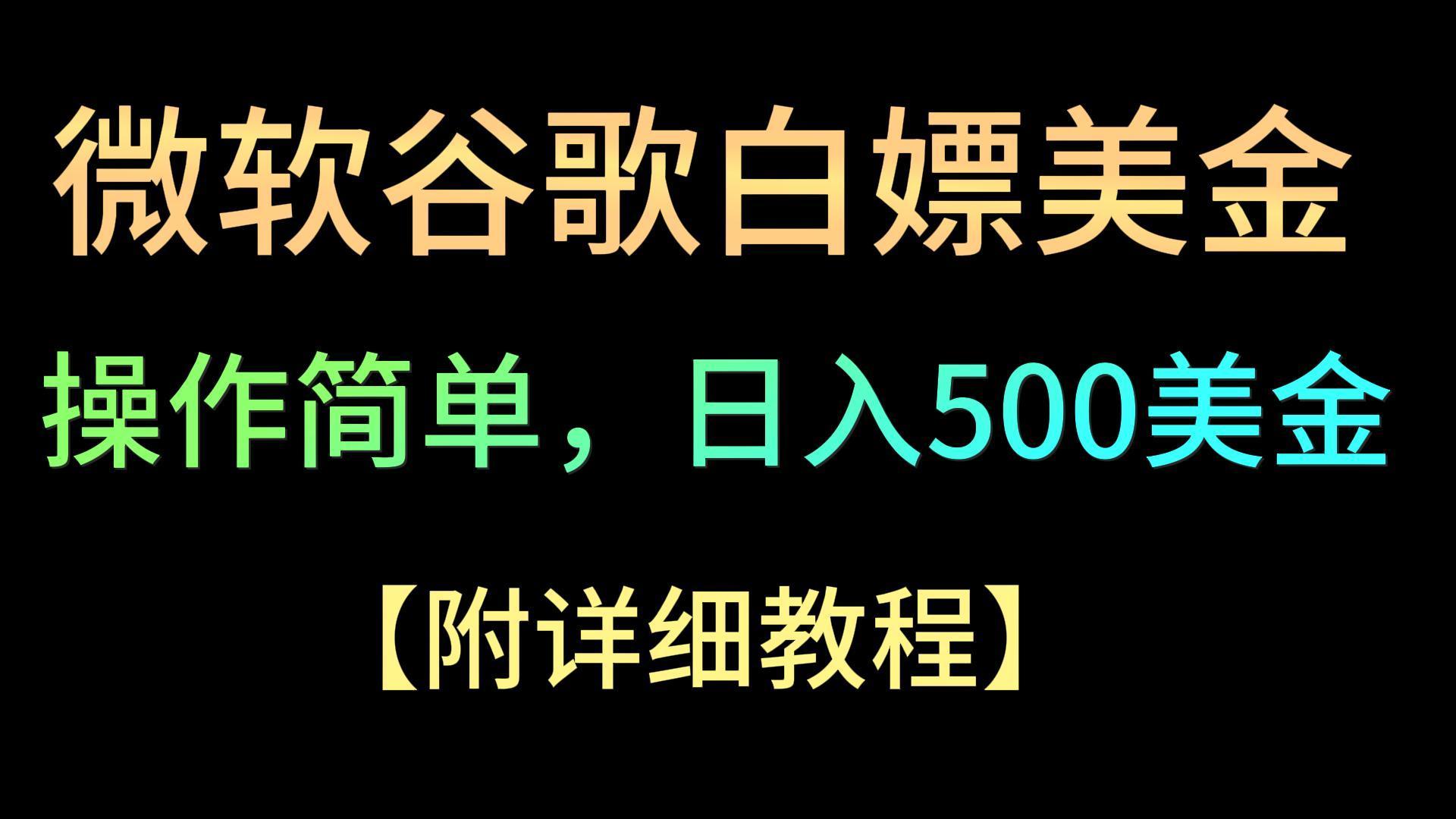 微软谷歌项目3.0，轻松日赚500+美金，操作简单，小白也可轻松入手！-皮皮网创