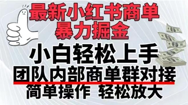 最新小红书商单，暴力掘金，单月稳定变现3W+-皮皮网创