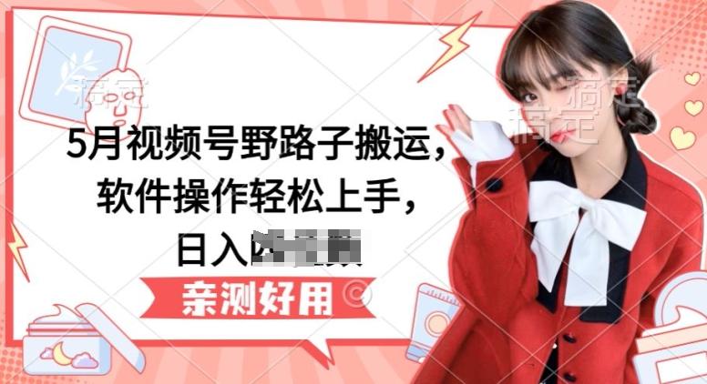 5月视频号野路子搬运，软件操作轻松上手，日入三位数【揭秘】-皮皮网创