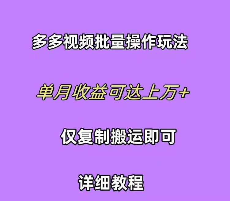 (10029期)拼多多视频带货快速过爆款选品教程 每天轻轻松松赚取三位数佣金 小白必…-皮皮网创