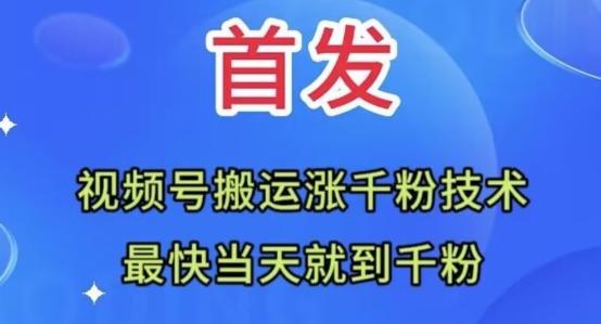 全网首发：视频号无脑搬运涨千粉技术，最快当天到千粉【揭秘】-皮皮网创