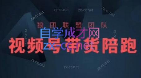 狼团联盟·2024视频号带货-皮皮网创